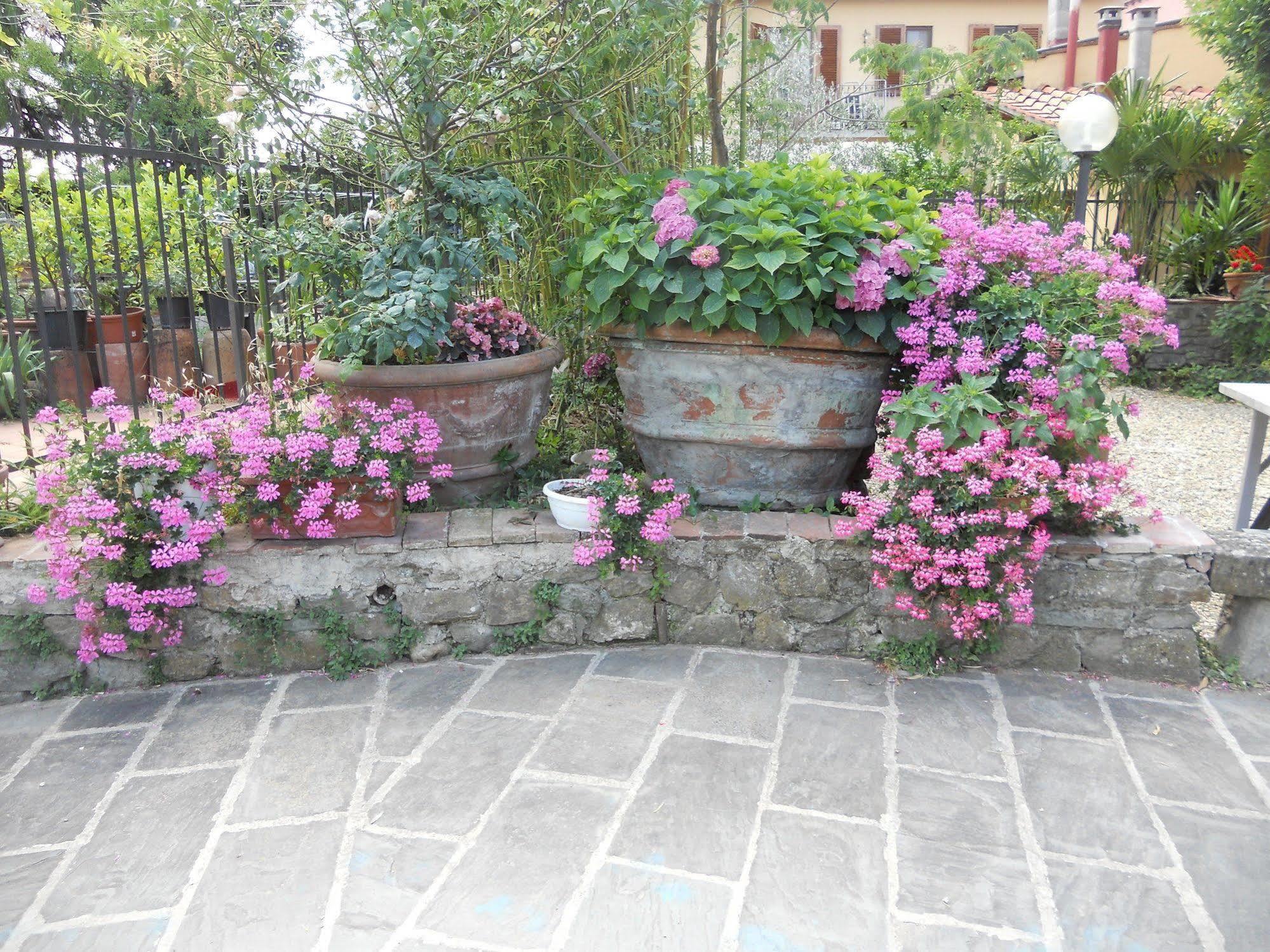 Agriturismo Le Macine Firenze Eksteriør bilde